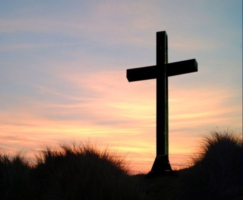 Necrologio di Dott. Giuseppe Musci