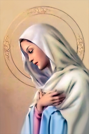 Necrologio di Silvana Tarricone ved. Musci